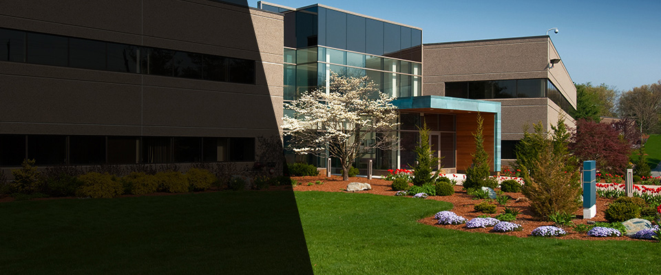 Mount Jackson Landscapers