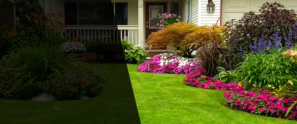 Mount Jackson Landscapers