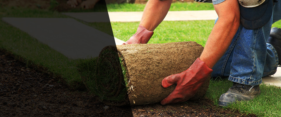 Mount Jackson Landscapers